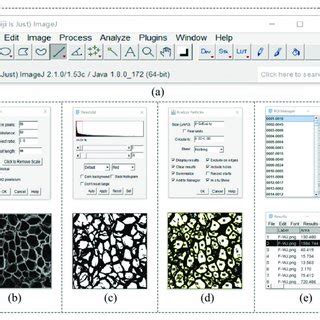 Dried Jujube Slice moisture meter|Microstructure Analysis and Quality Evaluation of Jujube Slices .